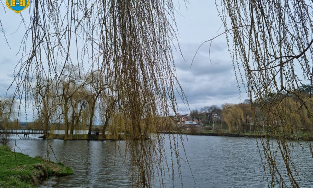Міська рада на Тернопільщині забирає в підприємця ставок, яка сама надала в оренду