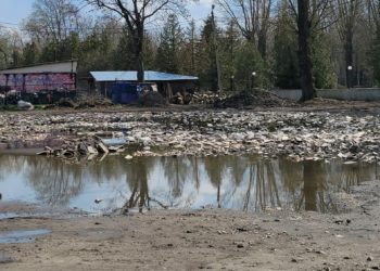 Хто несе відповідальність за нелегальне сміттєзвалище в центрі Тернополя?