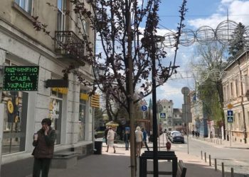 Міська рада Тернополя вирішила викорчувати дерева, які посадили 5 років тому, та потратити понад 100 тисяч на нові