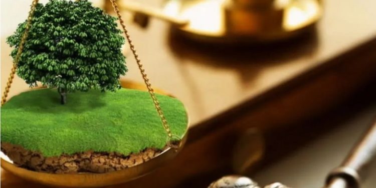 На Тернопільщині СБУ забрало 12 земельних ділянок, які перебували у власності громадян росії