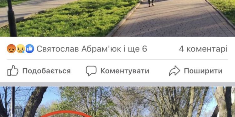 Міська влада Тернополя продовжує знищувати зелені зони: що може зробити громадськість?