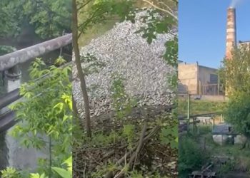 Екологічний скандал на Тернопільщині: спиртзавод винен у масовій загибелі риби