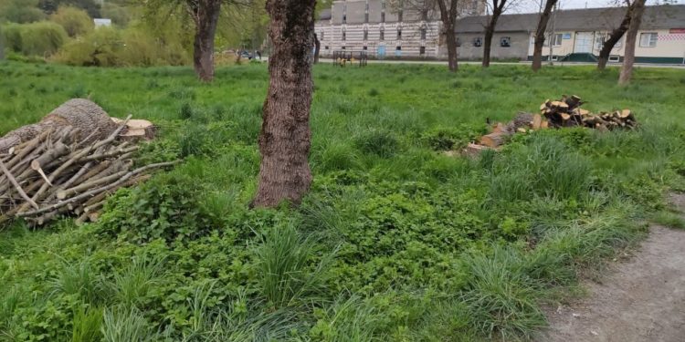 Загадкове “зникнення” парку на Тернопільщині: як дружина мера Підгаєць причетна до знищення зеленої зони?