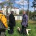 Тернопільська міська рада “вділила” великий клапоть дорогої землі для прокуратури