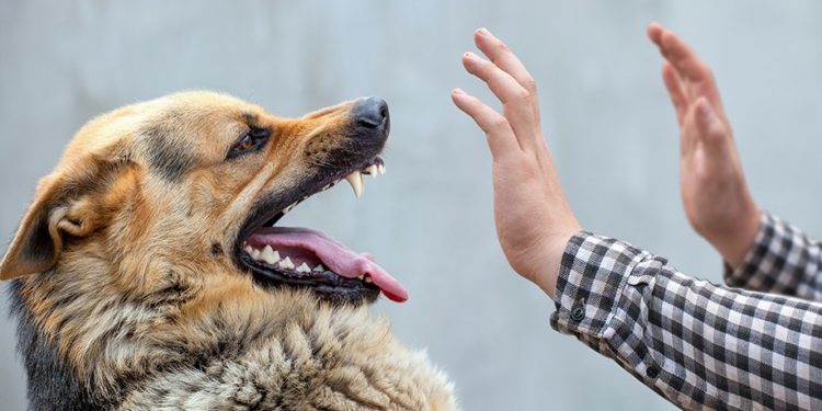 Ціле село на Тернопільщині повинне пройти карантин
