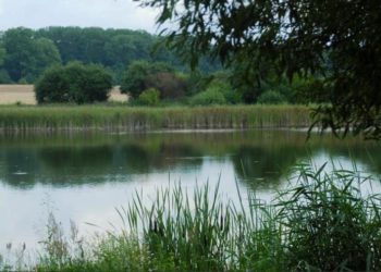 Битва за ставок, або Прокурор у родині – закон не писаний 