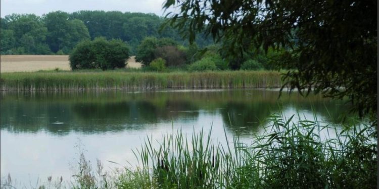 Битва за ставок, або Прокурор у родині – закон не писаний