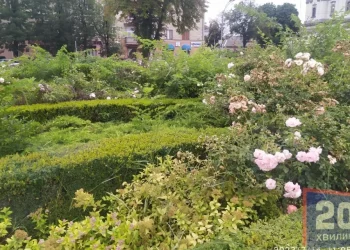 Тернопіль красивий. Навпроти Катедри клумба заросла будяками