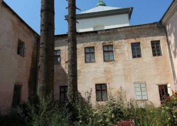 Тернополяни обурені знищенням дерев на території катедрального собору міста