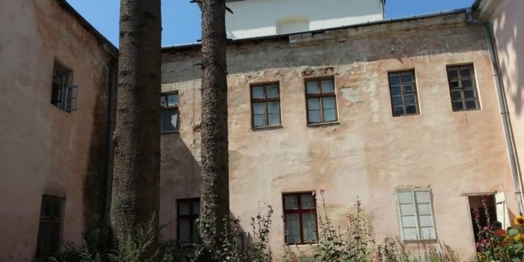 Тернополяни обурені знищенням дерев на території катедрального собору міста