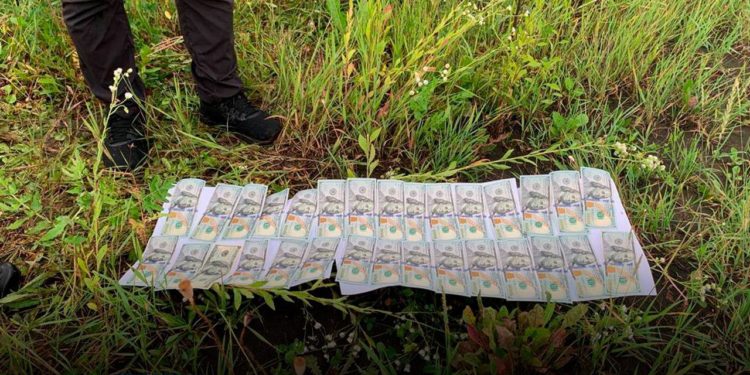 Незаконний дозвіл на перетин кордону: викрито помічника нардепки в Тернополі