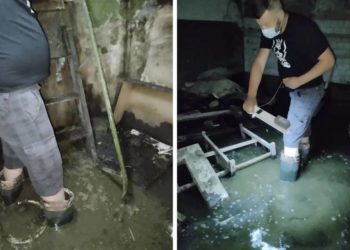 Плавають щурі і води «по коліно»: тернополяни показали, що коїться у підвалі