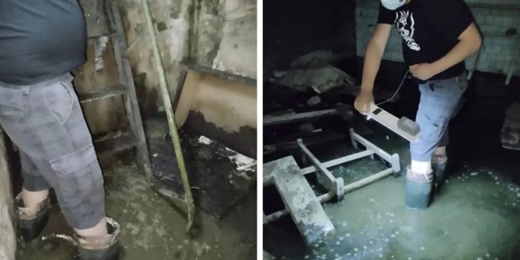 Плавають щурі і води «по коліно»: тернополяни показали, що коїться у підвалі