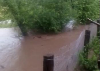 Через негоду на Тернопільщині затоплює село (фотофакт)