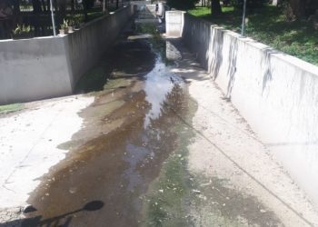 Невдале “покращення” від влади: дії міської ради викликають обурення тернополян