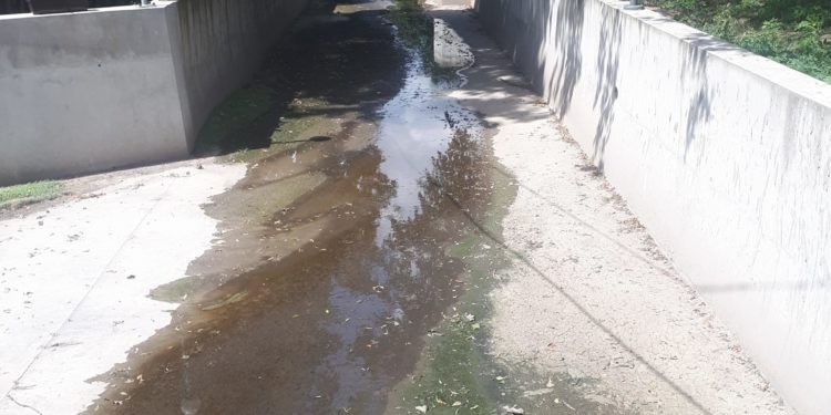 Невдале “покращення” від влади: дії міської ради викликають обурення тернополян