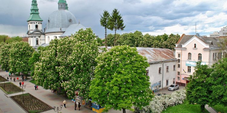 Тернополяни обурені знищенням дерев на території катедрального собору міста