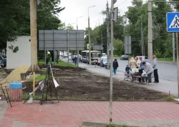 Влада Тернополя продовжує знищувати зелені зони міста