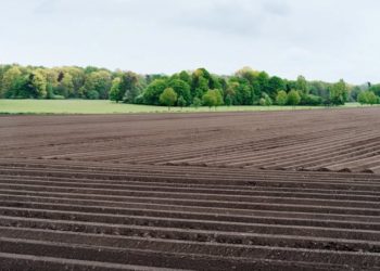 Бережанська прокуратура вимагає повернути одному з навчальних закладів Тернопільщини понад 301 га землі