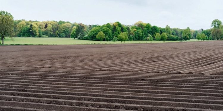 Бережанська прокуратура вимагає повернути одному з навчальних закладів Тернопільщини понад 301 га землі