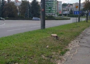 Тернопільські можновладці продовжують знищувати зелені насадження міста: цього разу добралися до багаторічних каштанів