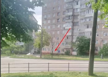 “Тepнопіль зaлишитьcя бeз кaштaнів”, – міська рада пояснила, чому було зрізано 6 дерев