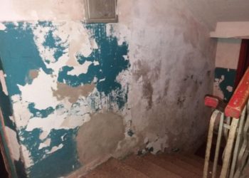 Грибок на стелі та пліснява: мешканці будинку у Тернополі 20 років просять владу відремонтувати їхню домівку