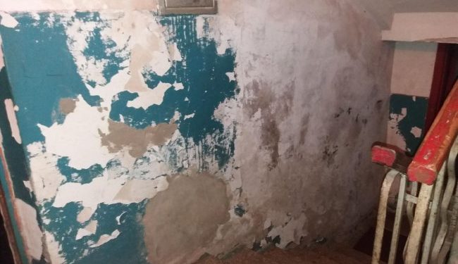 Грибок на стелі та пліснява: мешканці будинку у Тернополі 20 років просять владу відремонтувати їхню домівку
