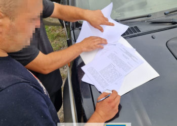 На Тернопільщині працівники лісгоспу підробляли документи та незаконно зрізали дерева