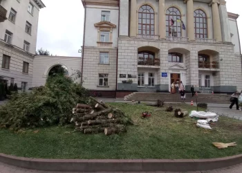 Одна зі шкіл Тернополя вирубала багаторічні дерева, щоб встановити бордюр та посадити квіти