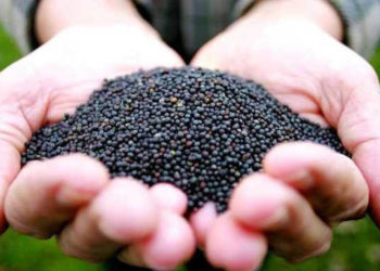 “Горе-бізнесмен” з Тернопільщини обікрав аграрія на понад 17 мільйонів гривень