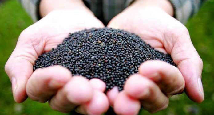 “Горе-бізнесмен” з Тернопільщини обікрав аграрія на понад 17 мільйонів гривень