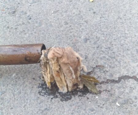 У Тернополі на центральній вулиці мешканці будинку затопили банк лайном