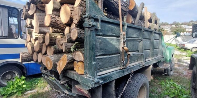 Борщівські поліцейські викрили водія, який перевозив деревину з сумнівними документами