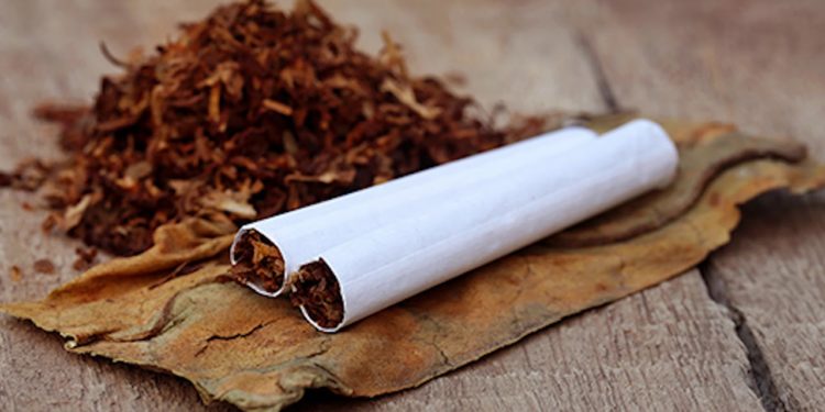 На Тернопільщині експоліцейський організував підпільне виробництво тютюну