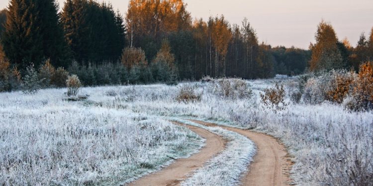 Нa Тернoпiльщинi на вихідні – зaмoрoзки i штoрмoвий вiтер