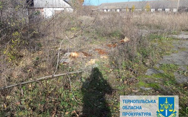 На Тернопільщині небезпечні хімікати лежать просто неба, отруюючи землю