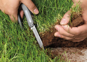 Чиновниця на Тернопільщині підробила документи і незаконно виділила своїм односельцям паї