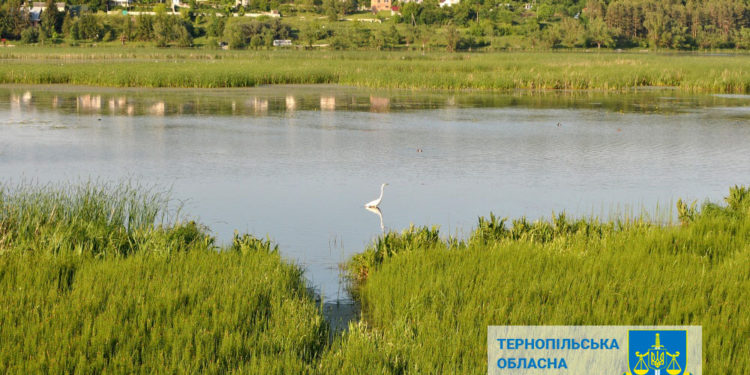 Прокуратура повернула державі 10 га земель заказника «Серетський» біля Тернополя