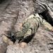 Смерть чоловіка в Настасові: що кажуть місцеві жителі