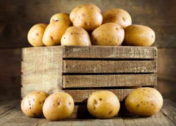 Картопля по 25 гривень для тернопільських дітей: у міській раді надали пояснення