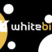 WhiteBIT – криптобіржа, до якої привернуто увагу України та Європи