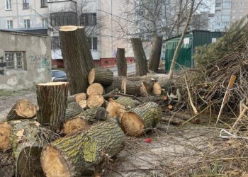 У Тернополі зрізали 12 дерев: що кажуть мешканці будинків