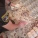 Житель Тернопільщини з помічницею за 7 тис євро вивозили ухилянтів за кордон в багажнику авто