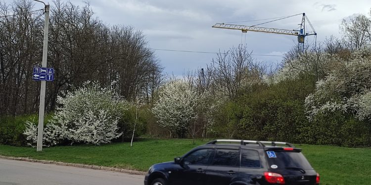 Тернопіль на шляху до пустелі, – еколог Олександр Філь