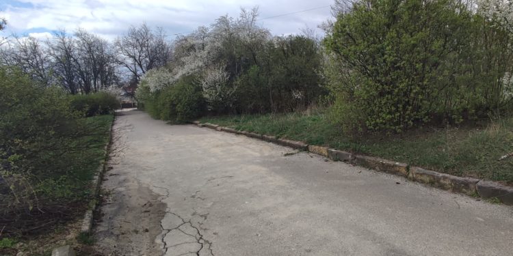 Тернопіль на шляху до пустелі, – еколог Олександр Філь