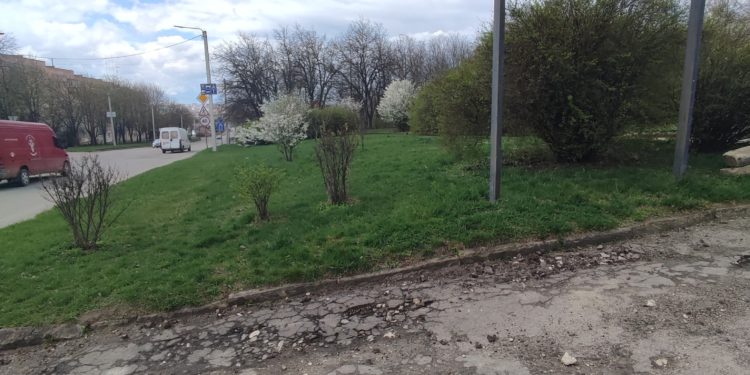 Тернопіль на шляху до пустелі, – еколог Олександр Філь