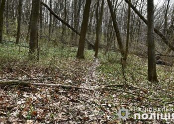 В лісі під Тернополем згвалтували і пограбували жінку