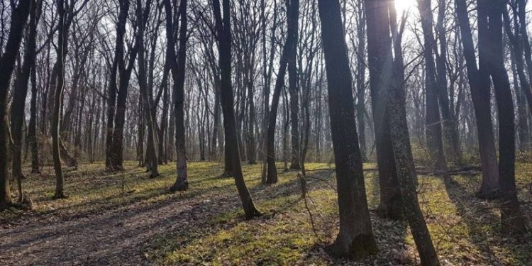 Алкогольне отруєння у дітей: у Тернополі розшукують чоловіка, який купив їм алкоголь