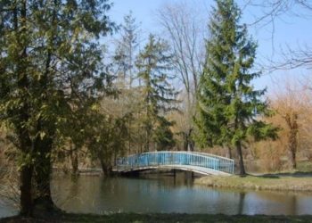 Тернопільське комунальне підприємство сплатить майже 500 тис. грн штрафу за забруднення парку